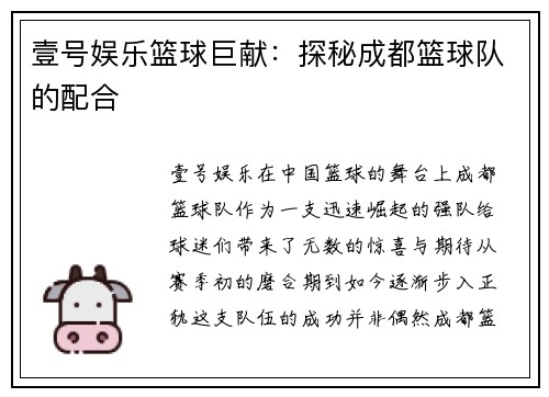 壹号娱乐篮球巨献：探秘成都篮球队的配合
